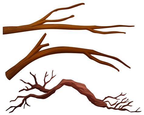 tree branch clipart